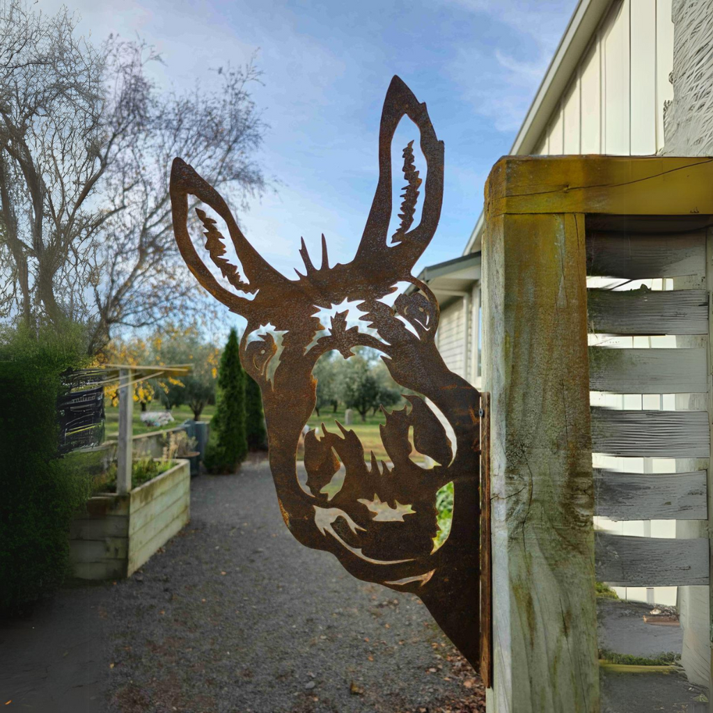 Peeking Donkey - Rusty Deer