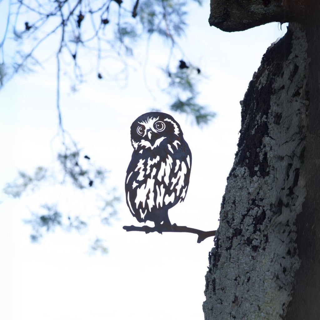 Morepork - Rusty Deer