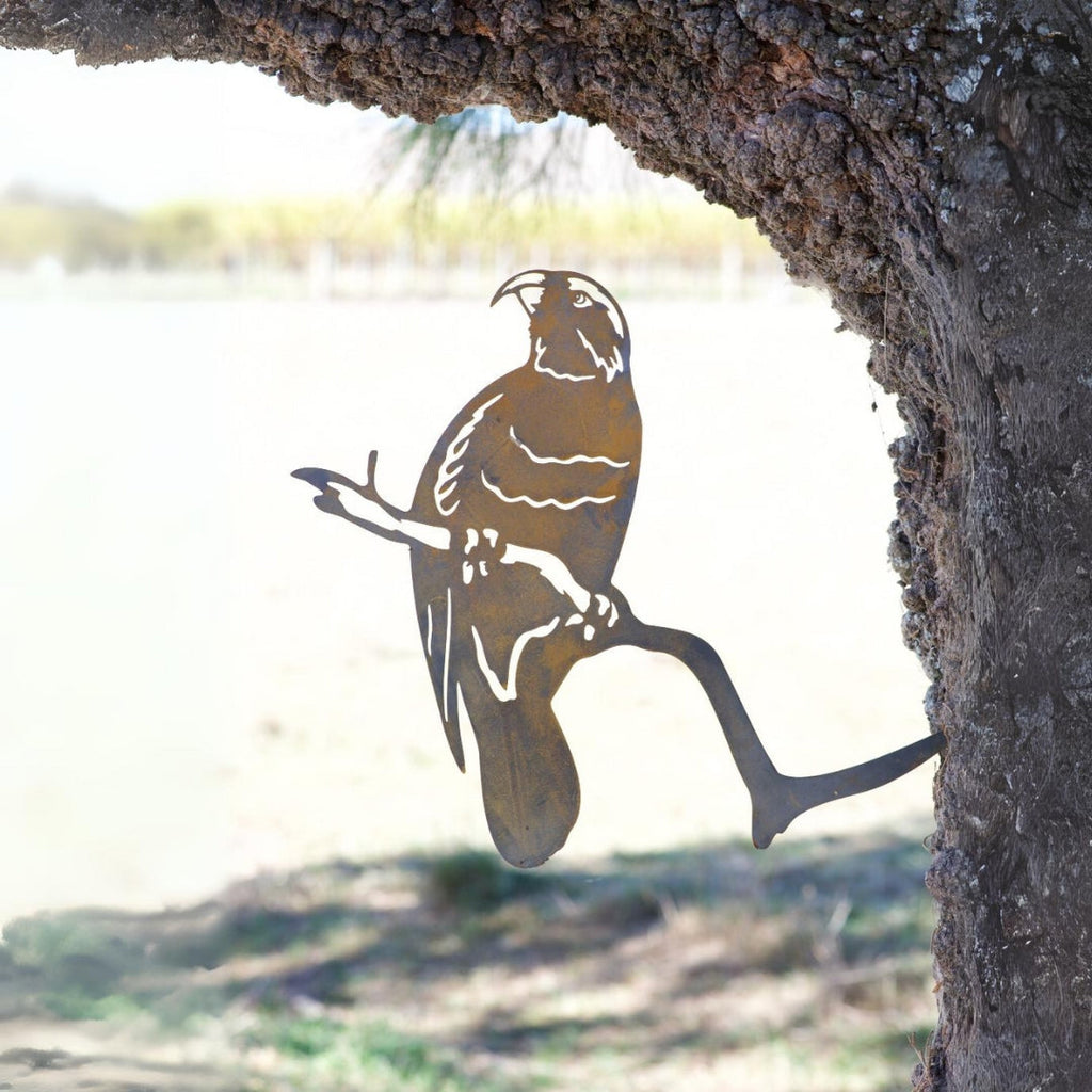Kaka - Rusty Deer