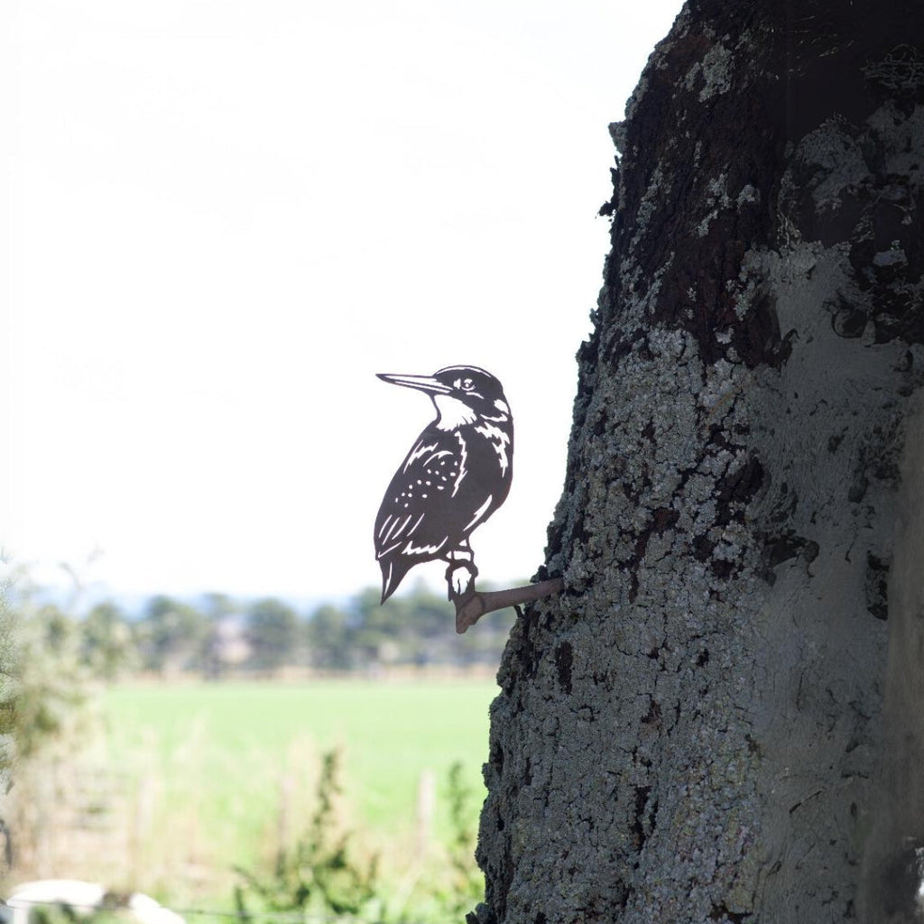 Kingfisher - Rusty Deer