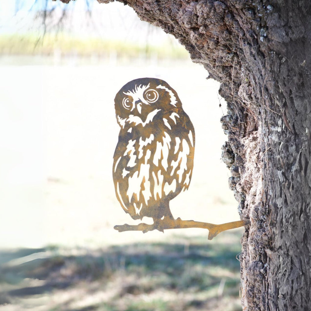 Morepork - Rusty Deer