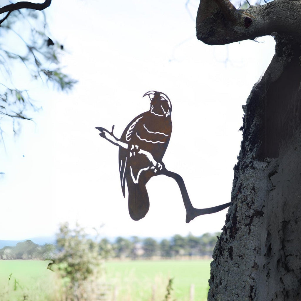 Kaka - Rusty Deer