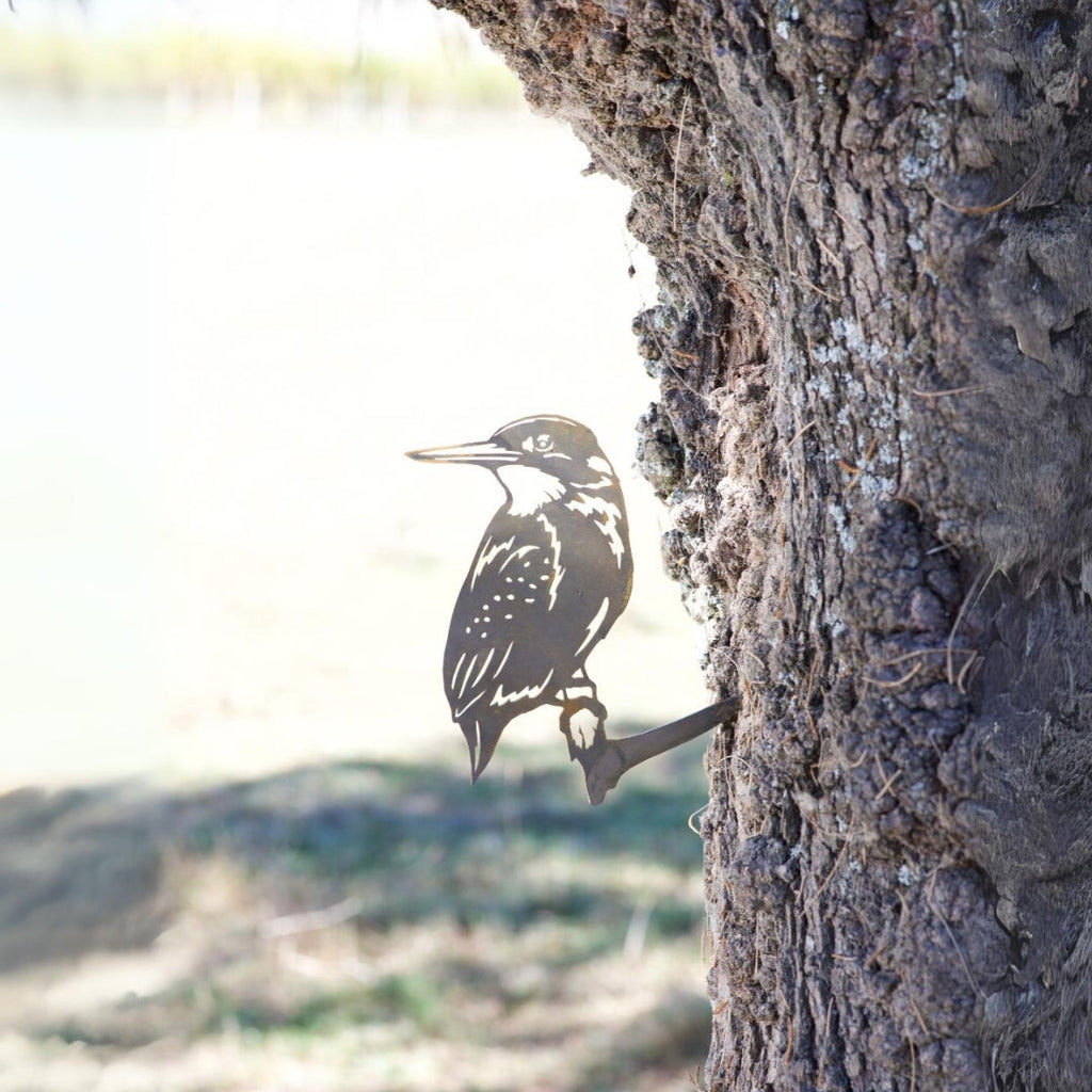 Kingfisher - Rusty Deer