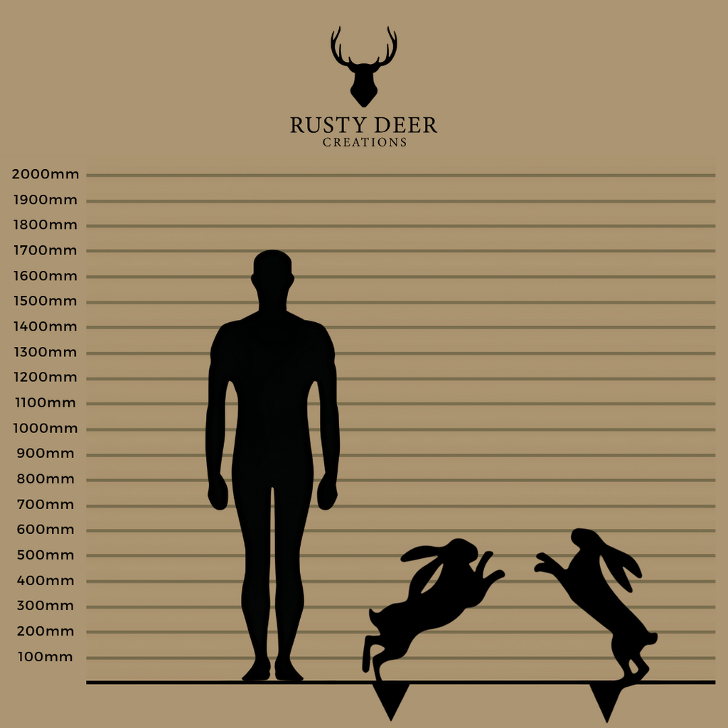 Boxing hares - Rusty Deer