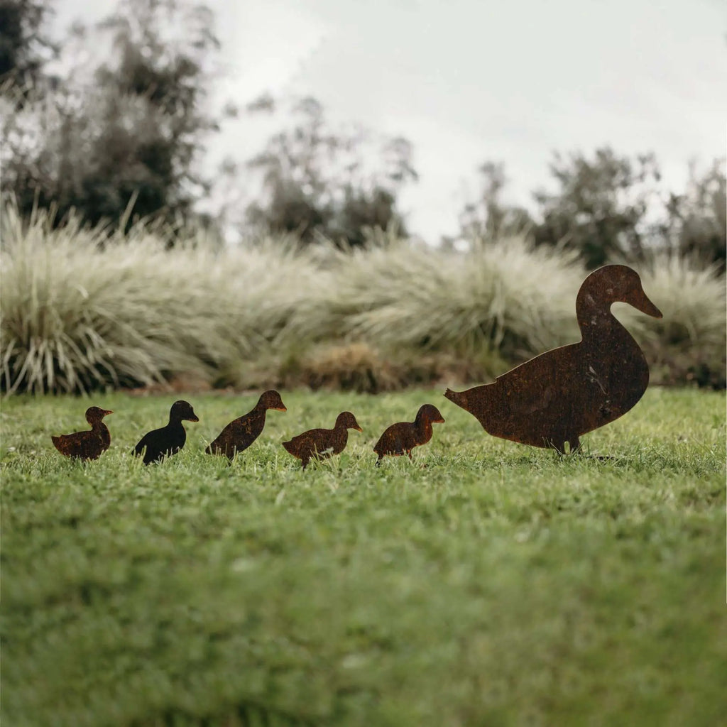 Ducks - Rusty Deer