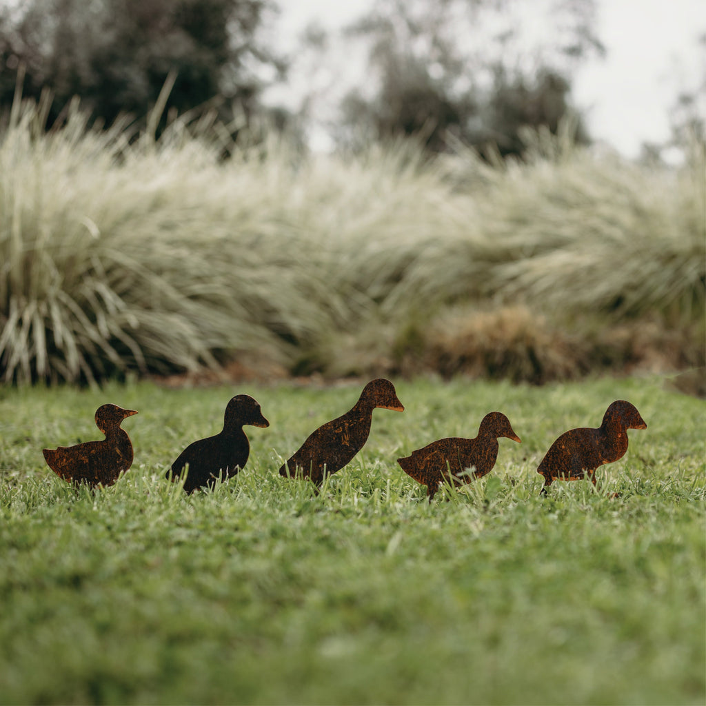 Ducks - Rusty Deer