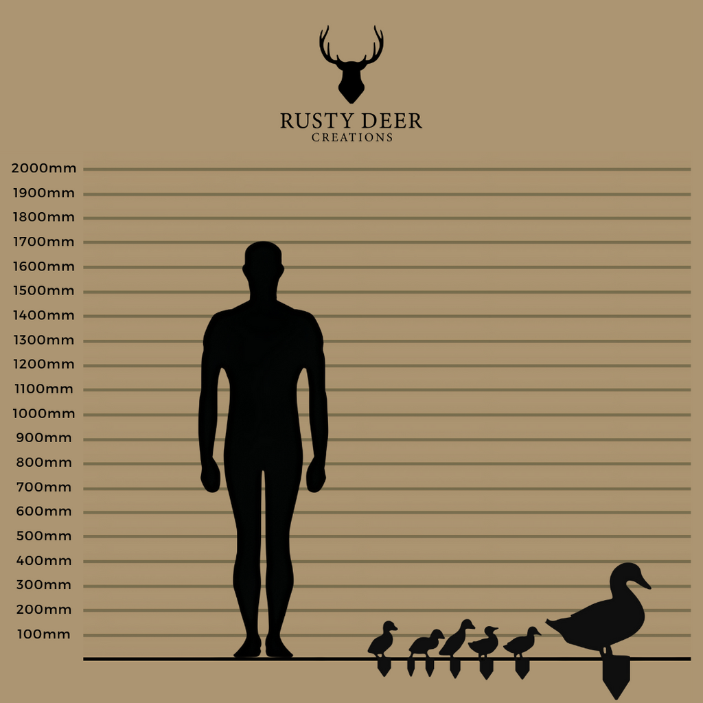 Ducks - Rusty Deer