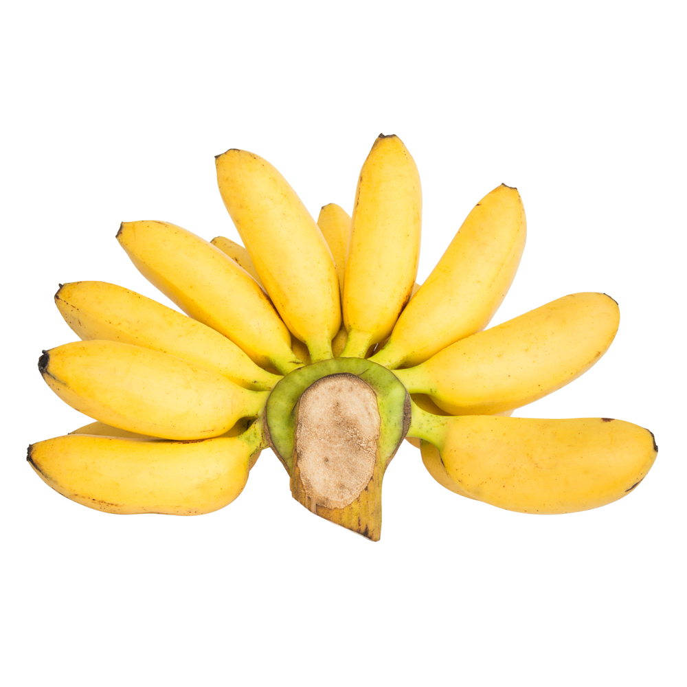 Freeze Dried Pisang Mas Banana