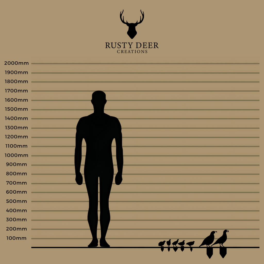Quail - Rusty Deer