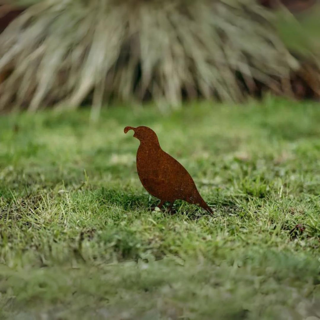 Quail - Rusty Deer