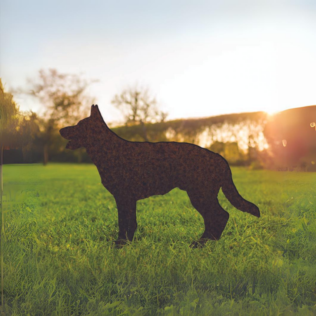 German Shepherd - Rusty Deer