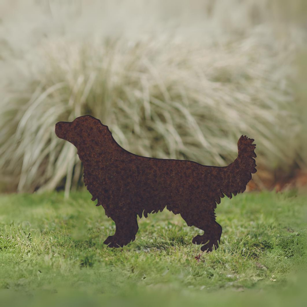 Golden Retriever - Rusty Deer