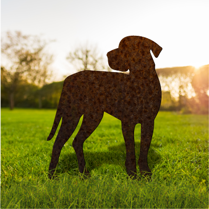 Great Dane - Rusty Deer