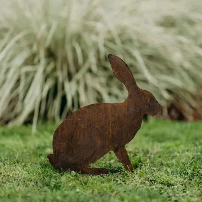 Hares - Rusty Deer