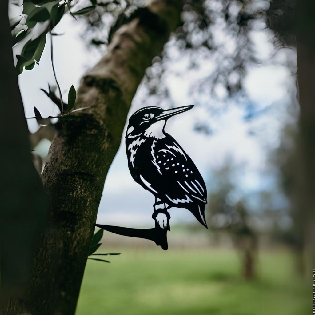 Kingfisher - Rusty Deer
