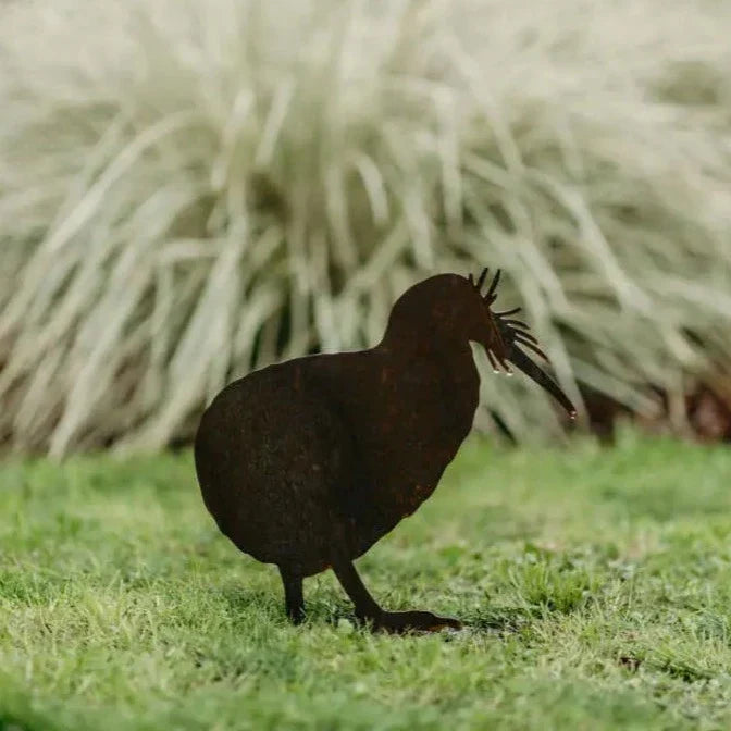 Kiwis - Rusty Deer