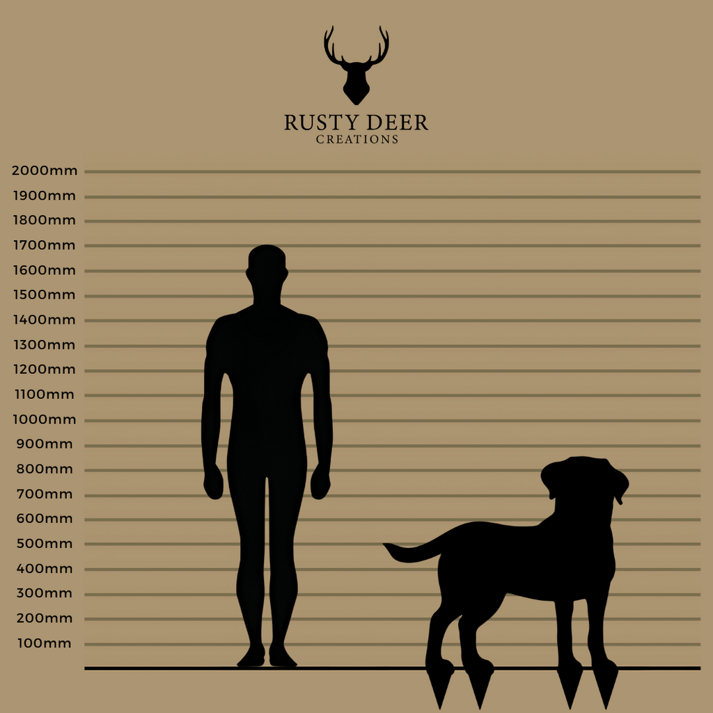 Labrador - Rusty Deer