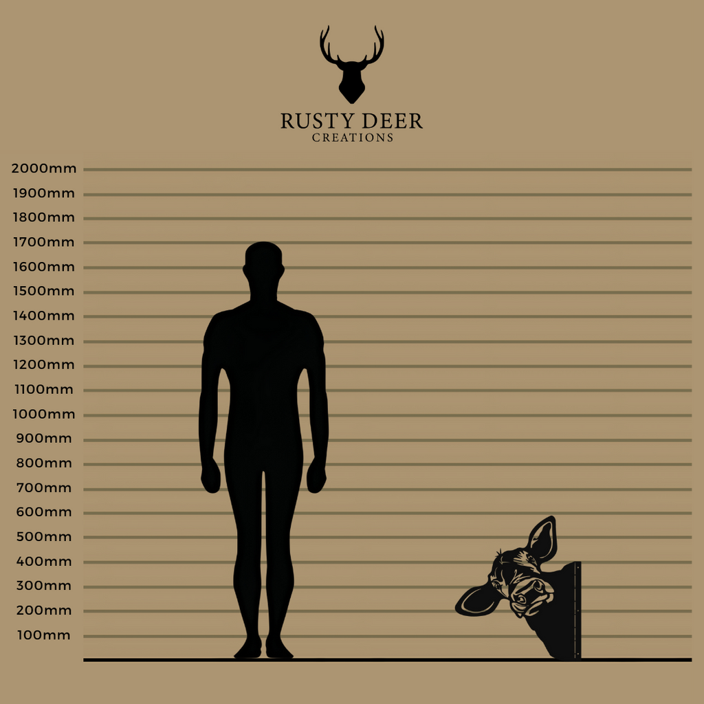 Peeking Cows - Rusty Deer