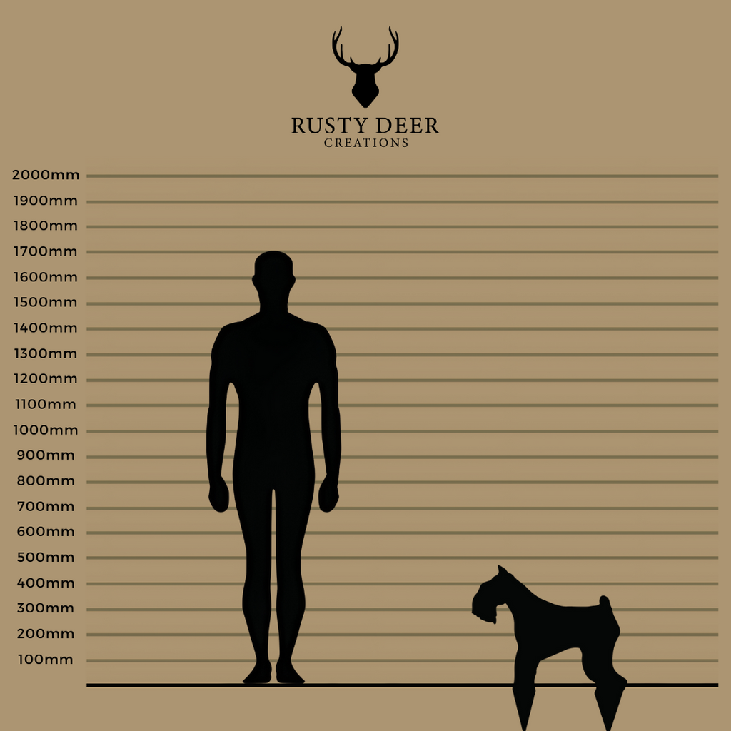 Miniature Schnauzer - Rusty Deer