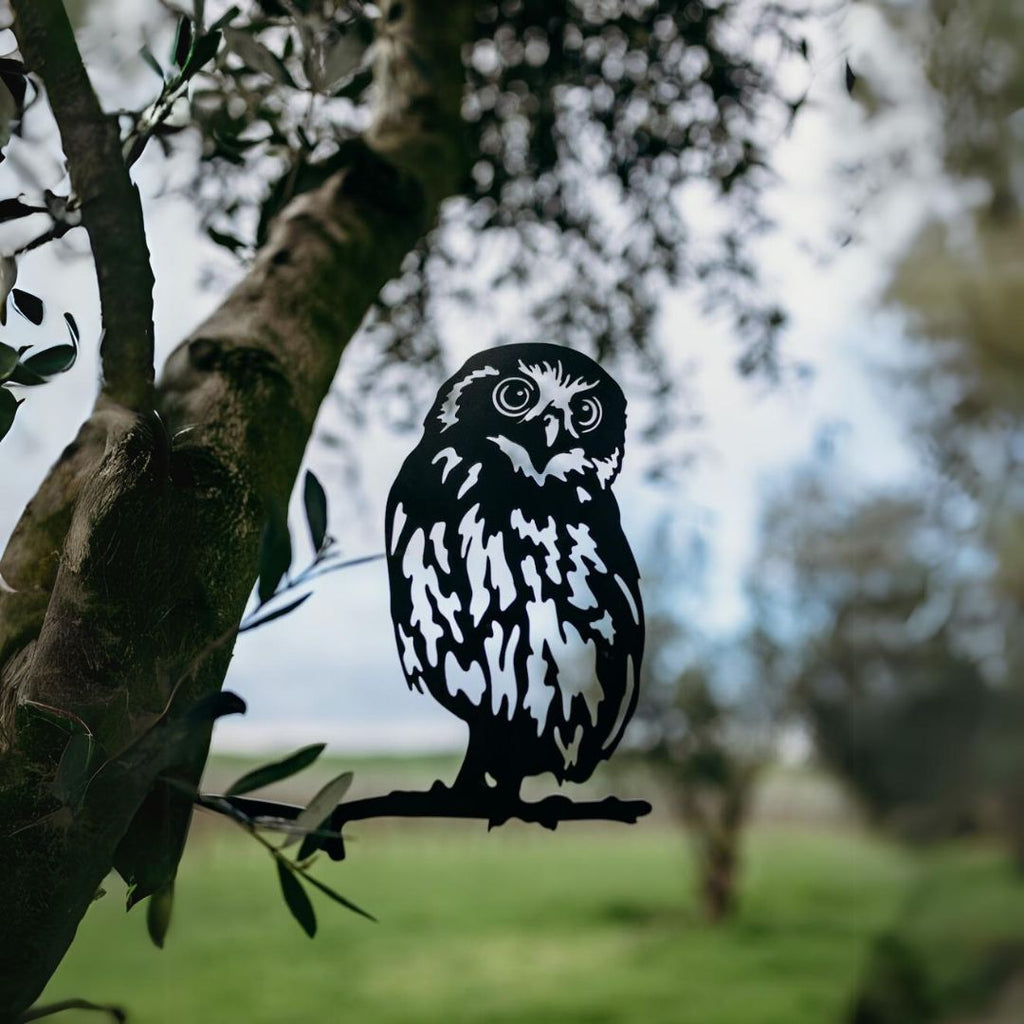Morepork - Rusty Deer