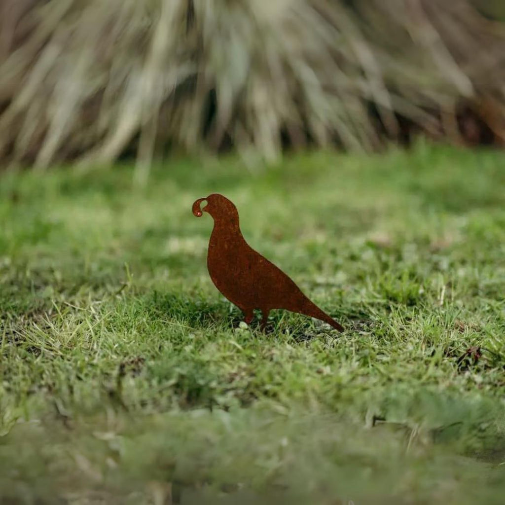 Quail - Rusty Deer