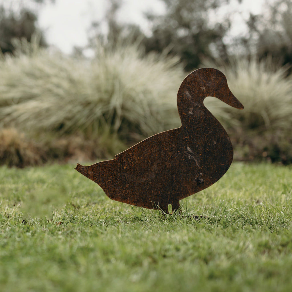 Ducks - Rusty Deer