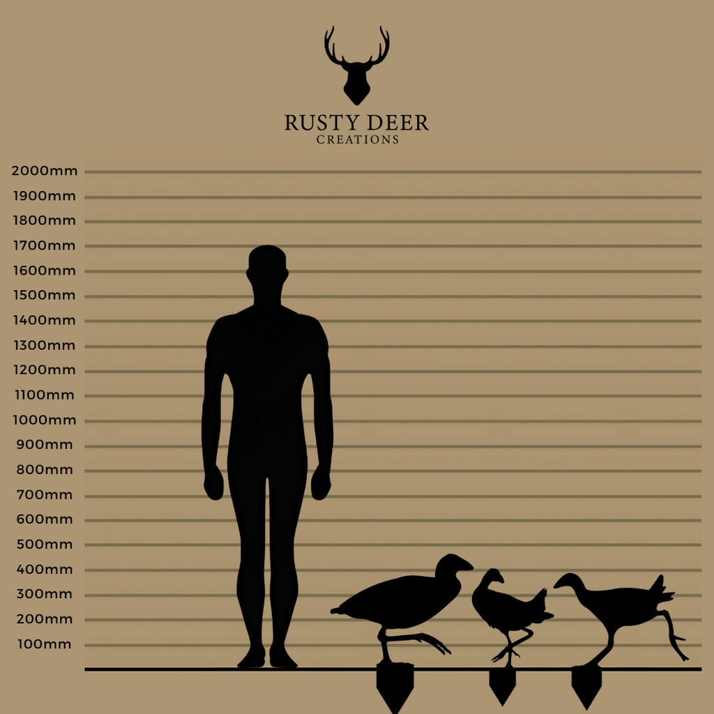 Pukekos - Rusty Deer