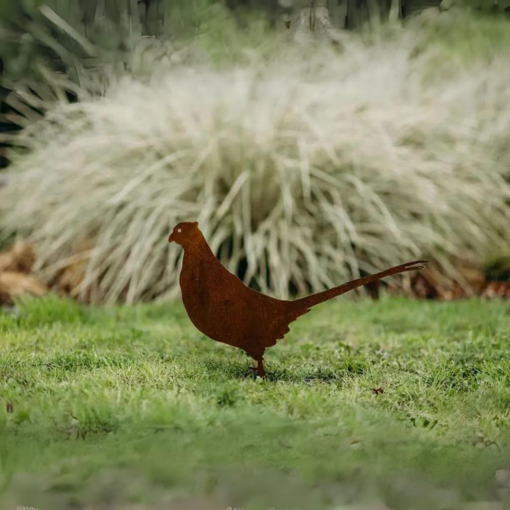 Pheasants - Rusty Deer