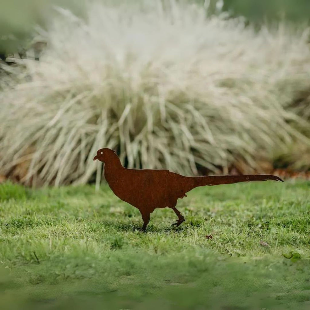 Pheasants - Rusty Deer