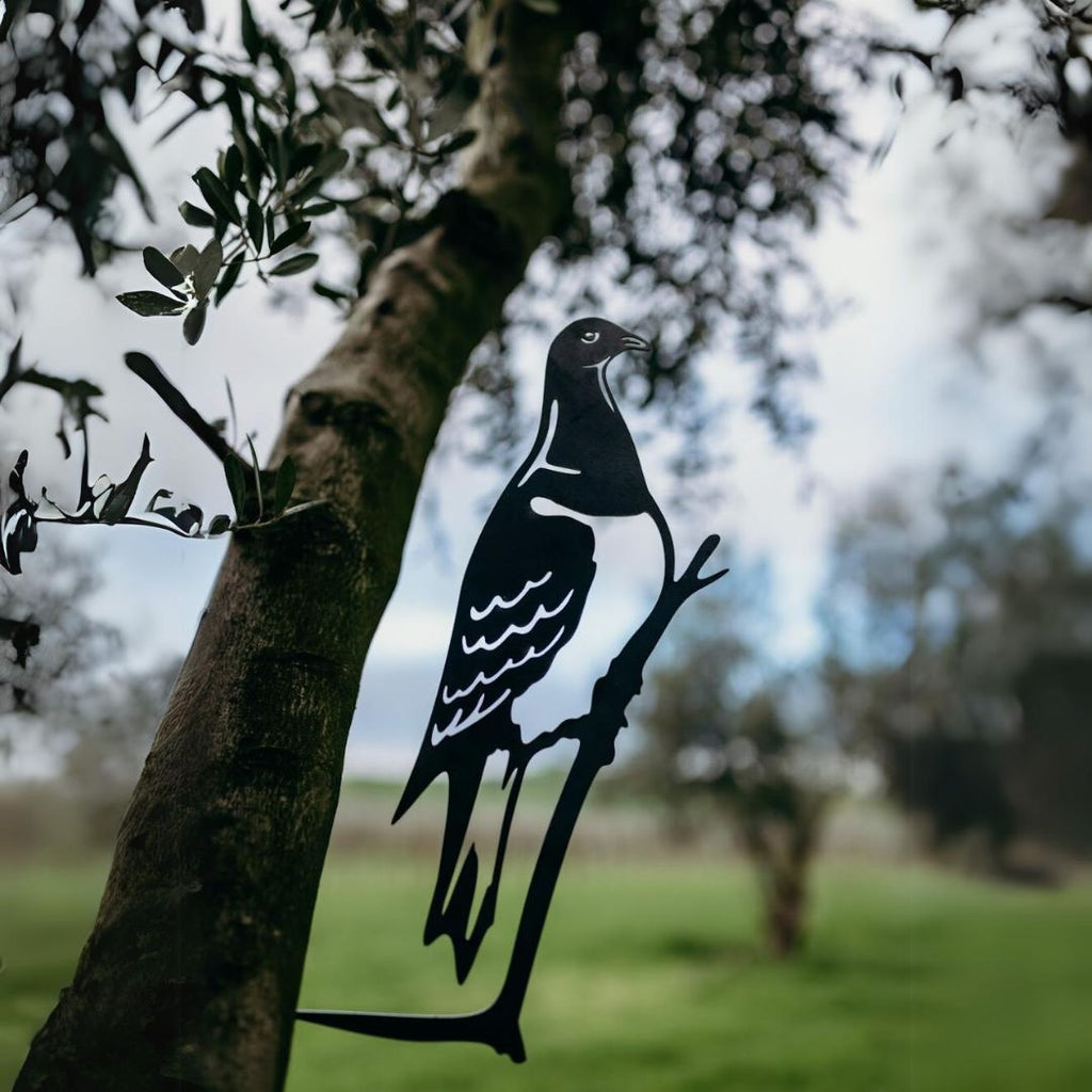 Pigeon - Rusty Deer