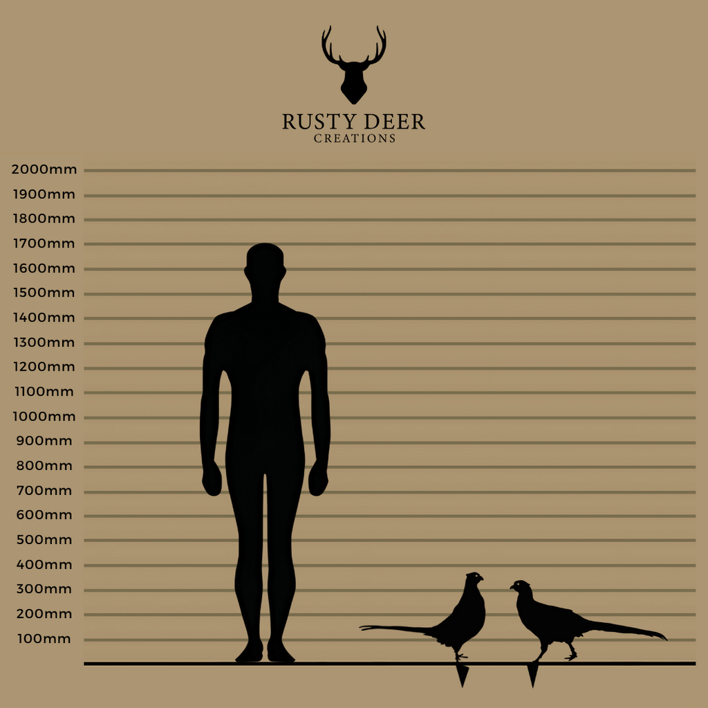 Pheasants - Rusty Deer