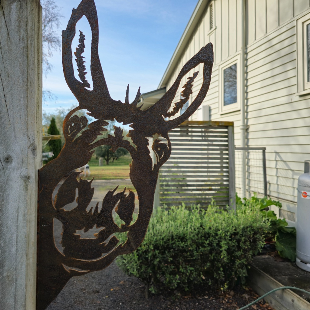 Peeking Donkey - Rusty Deer