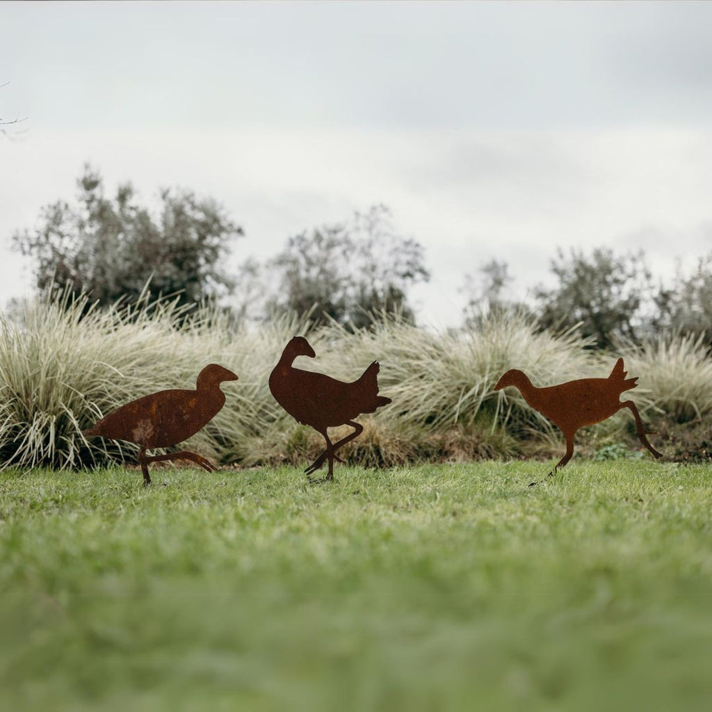 Pukekos - Rusty Deer