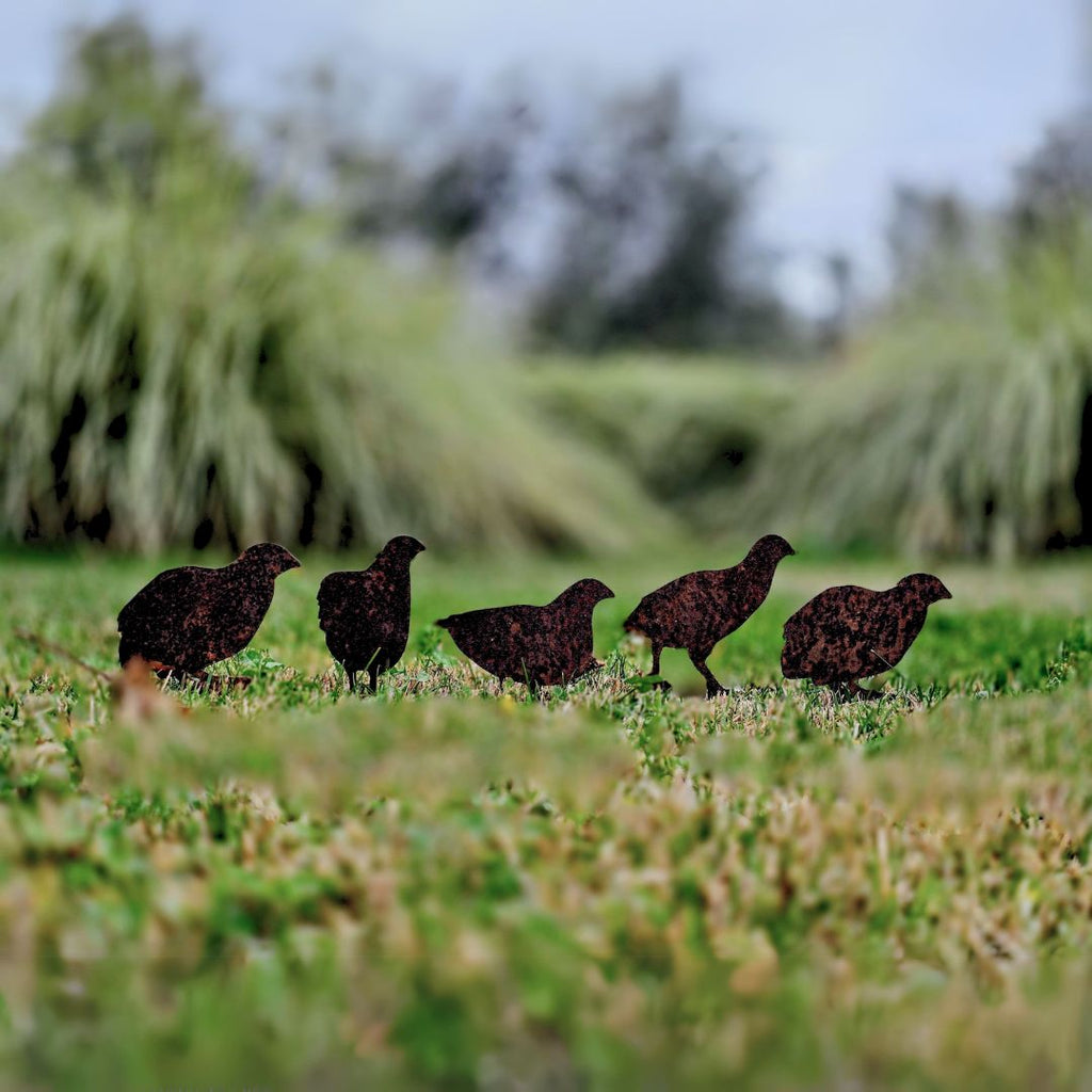 Quail - Rusty Deer