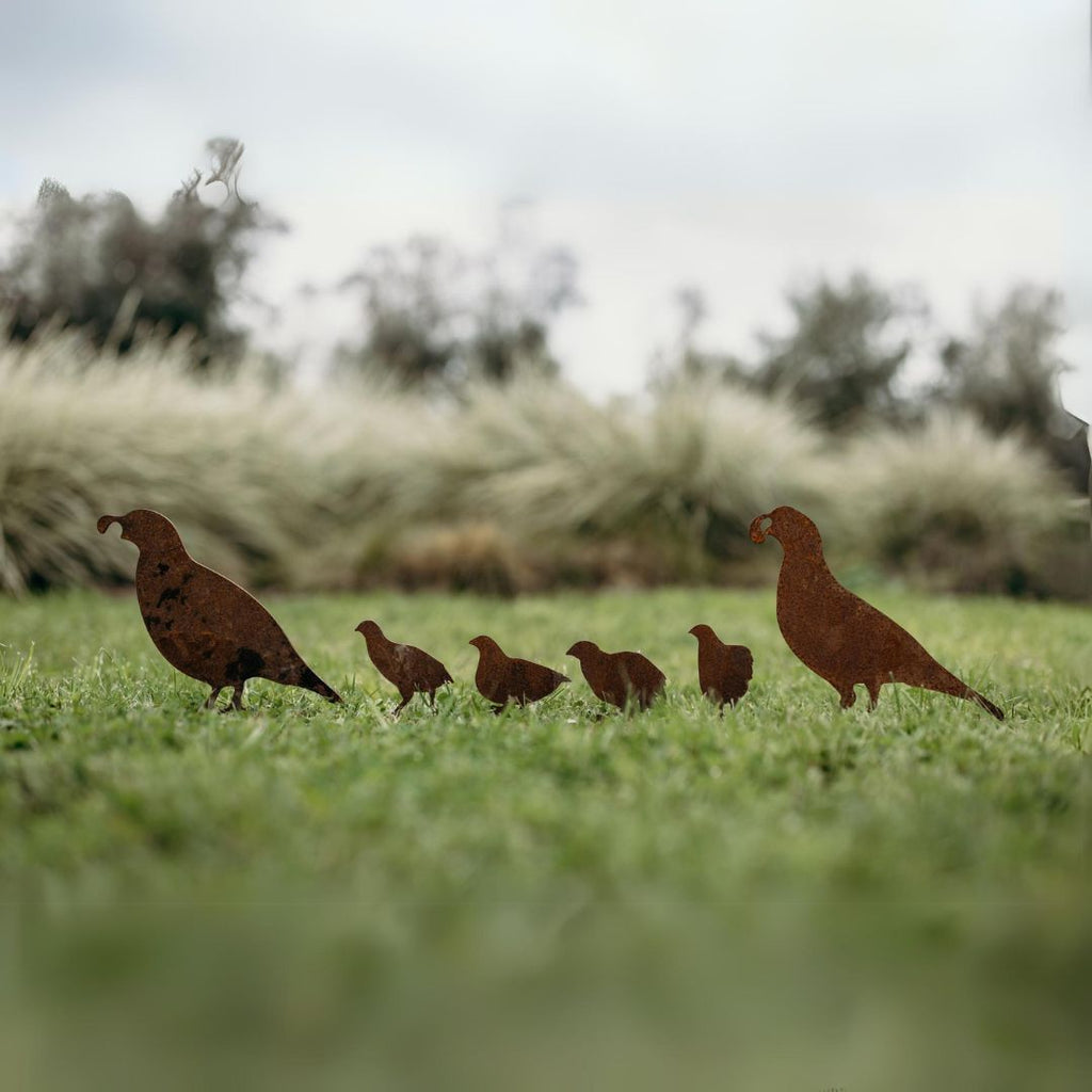 Quail - Rusty Deer