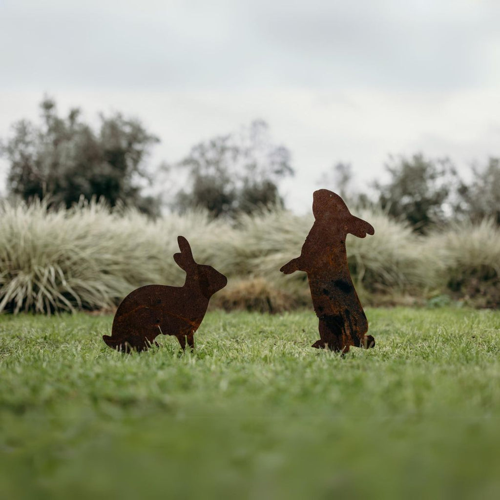 Rabbits - Rusty Deer