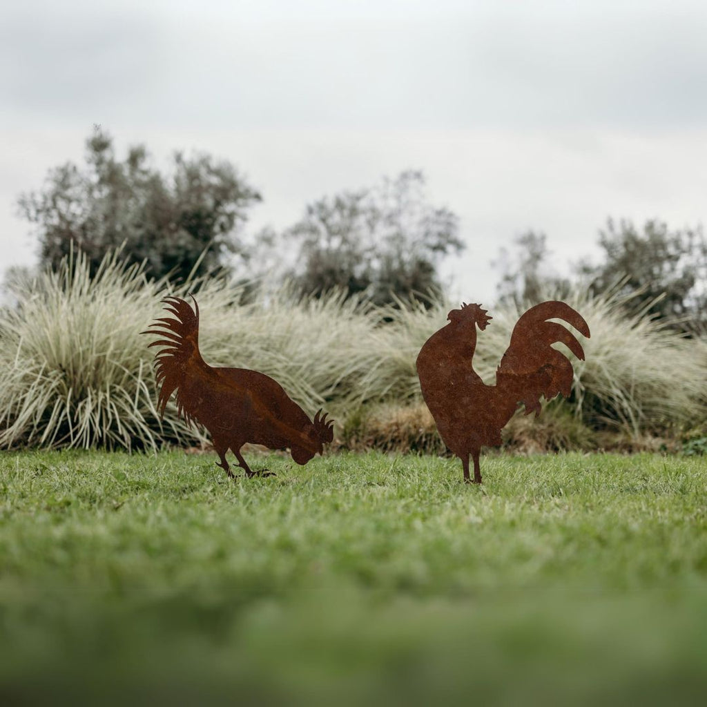 Roosters - Rusty Deer