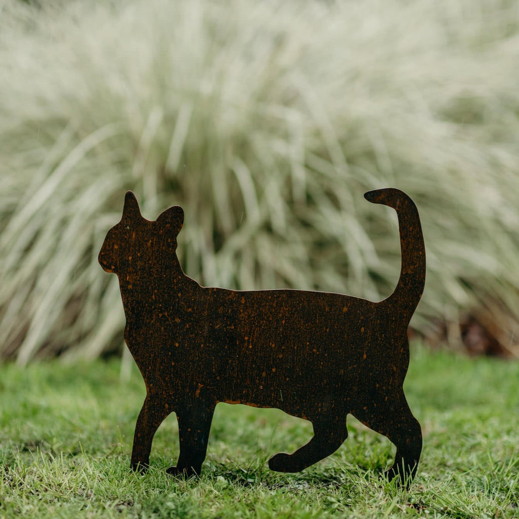 Cats - Rusty Deer