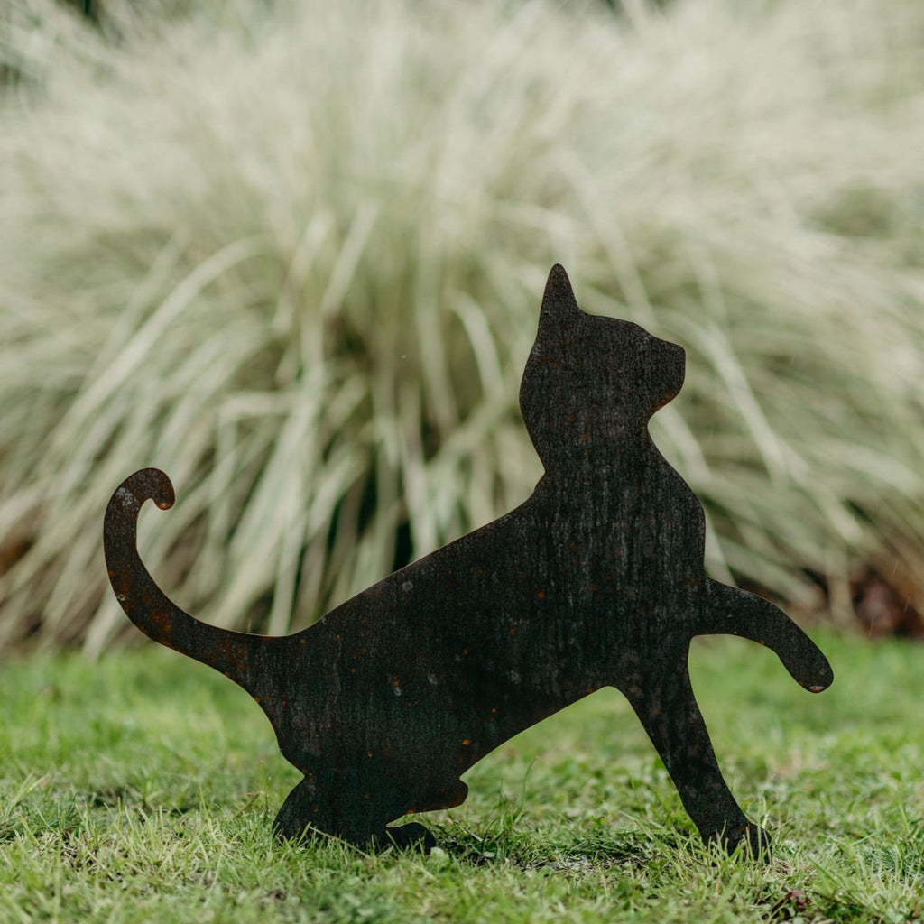 Cats - Rusty Deer