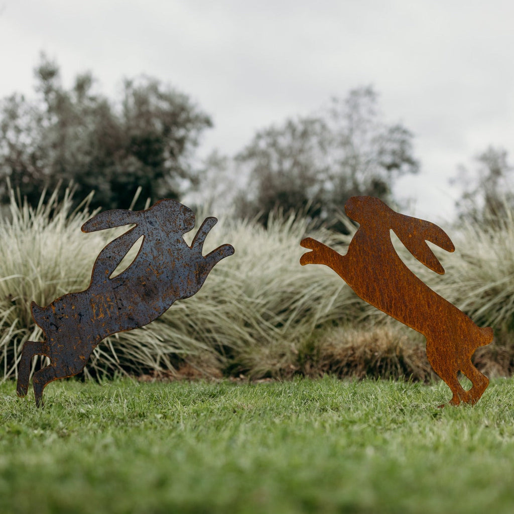 Boxing hares - Rusty Deer