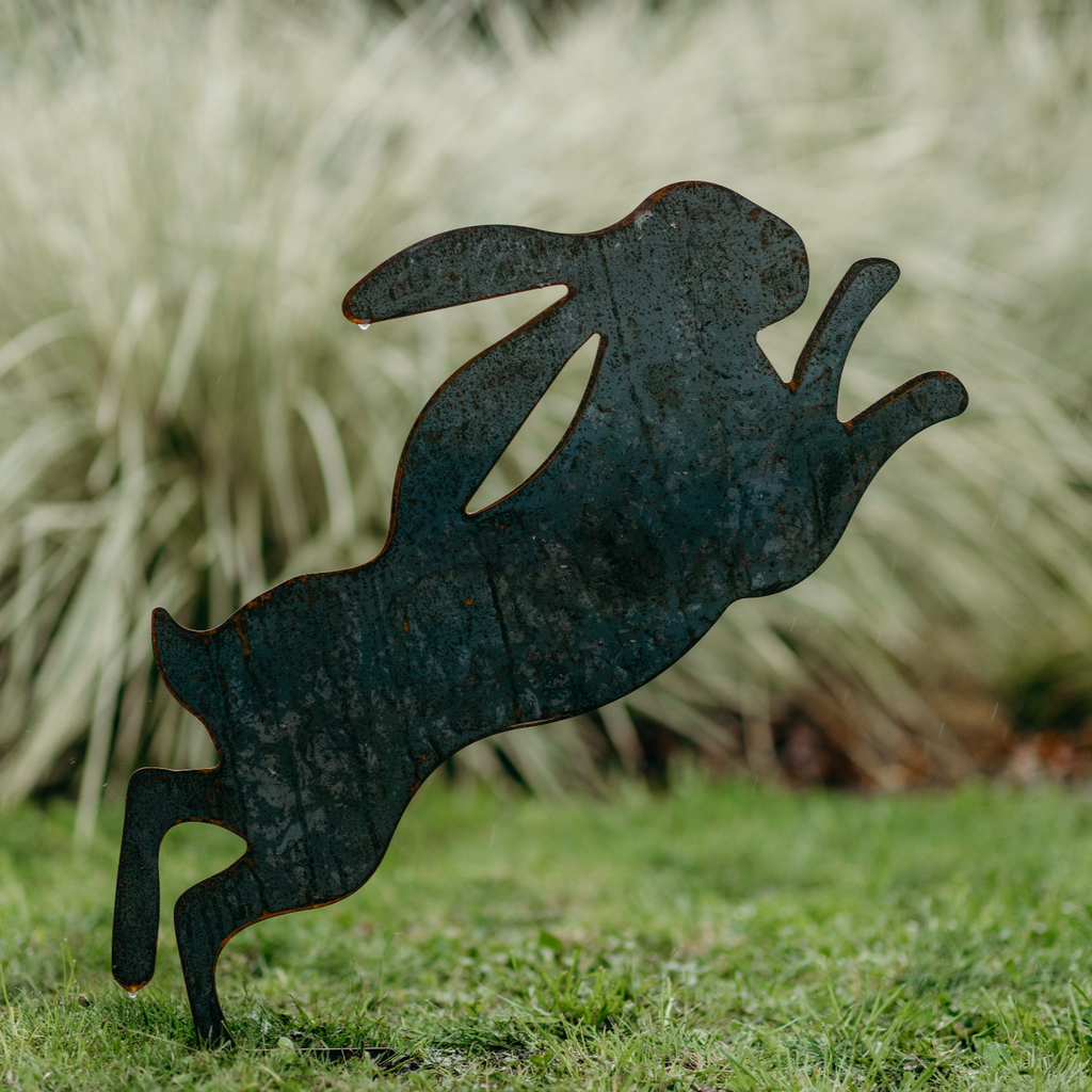 Boxing hares - Rusty Deer
