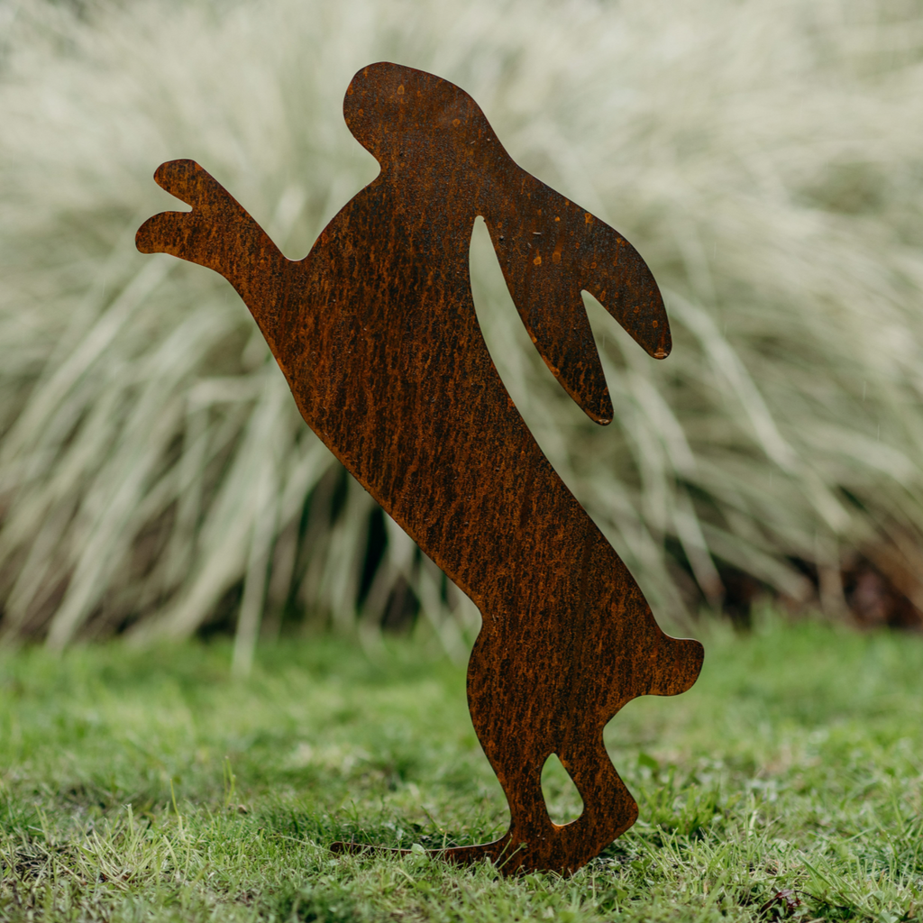 Boxing hares - Rusty Deer