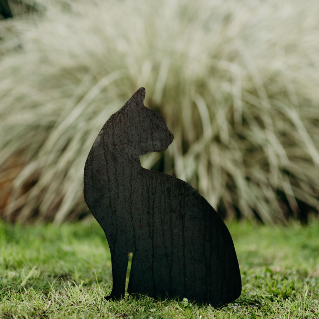 Cats - Rusty Deer
