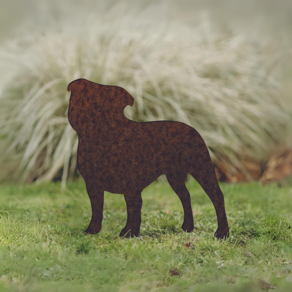 Staffordshire Bull Terrier - Rusty Deer