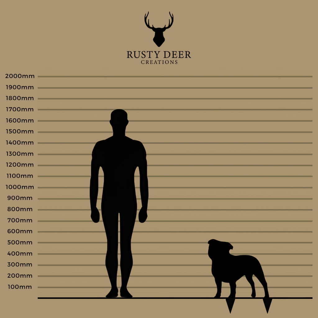 Staffordshire Bull Terrier - Rusty Deer