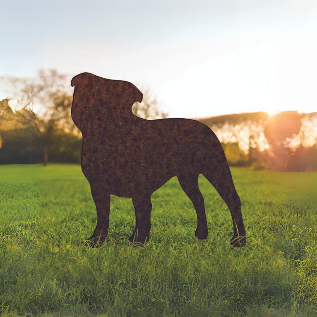 Staffordshire Bull Terrier - Rusty Deer