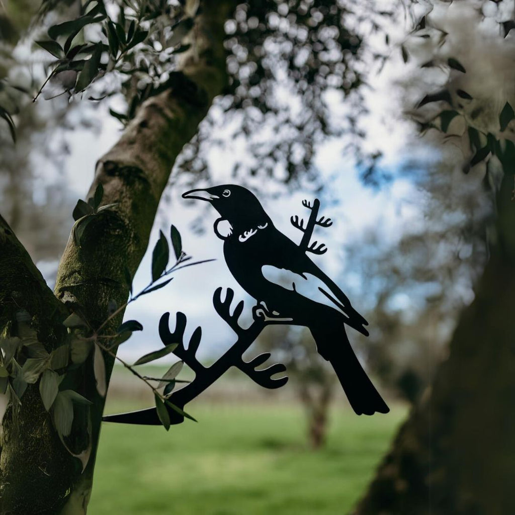Tui - Rusty Deer