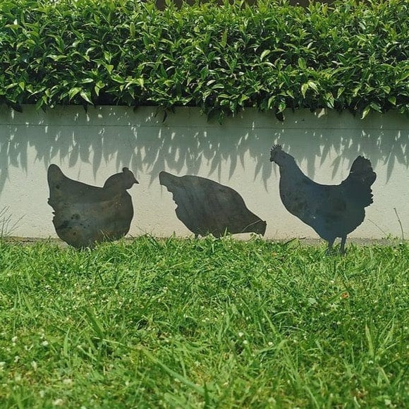 Chickens - Rusty Deer