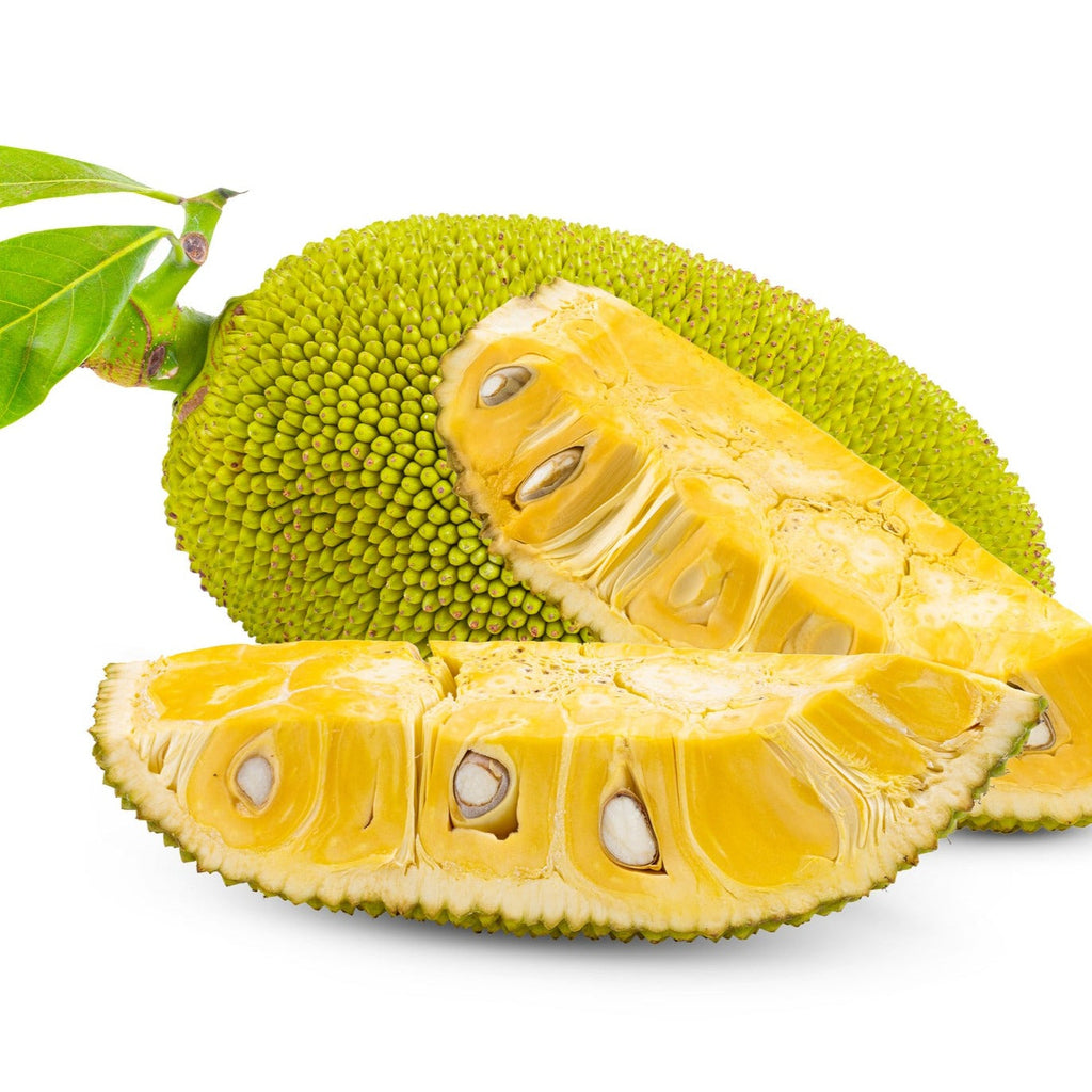 Jackfruit J33