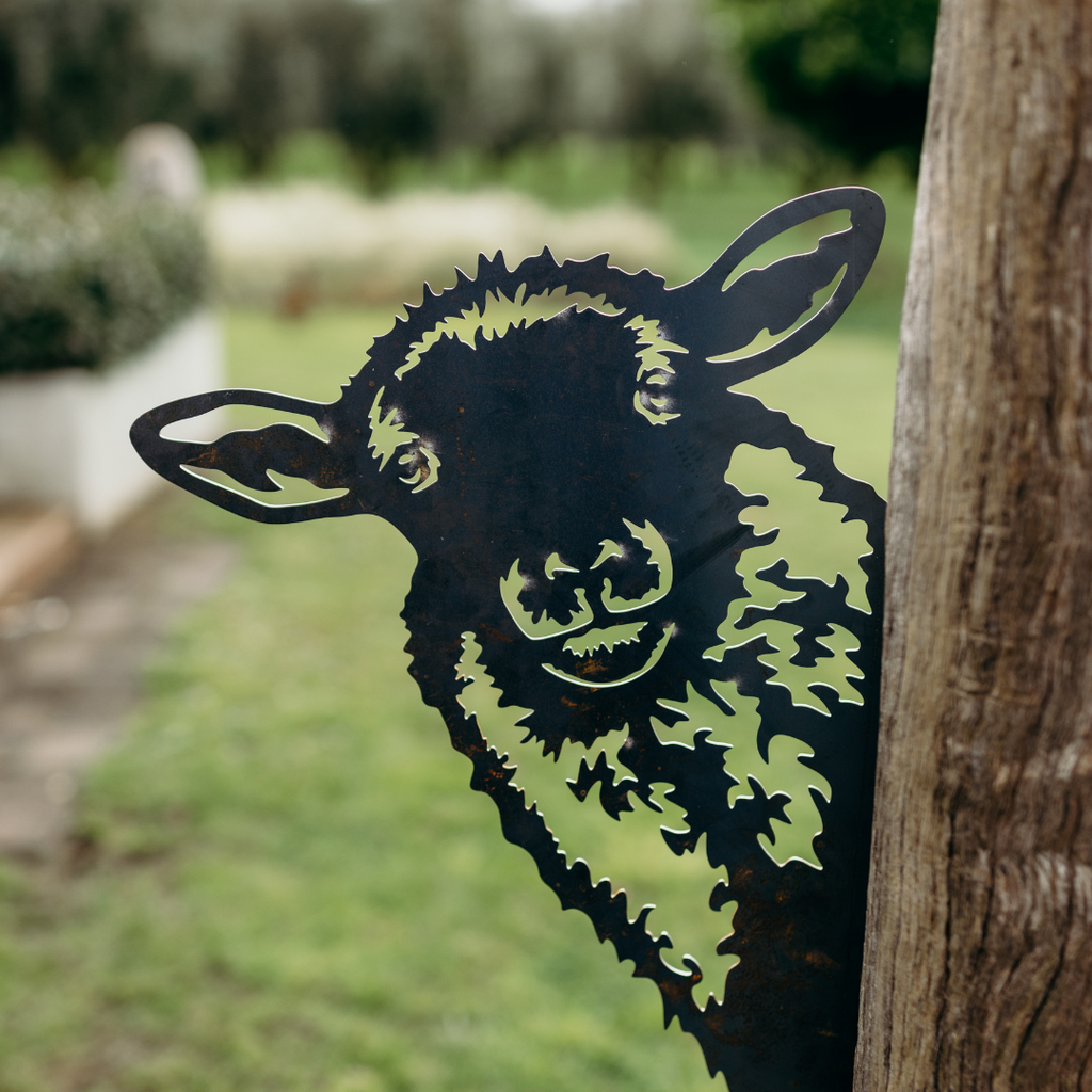 Peeking Sheep - Rusty Deer